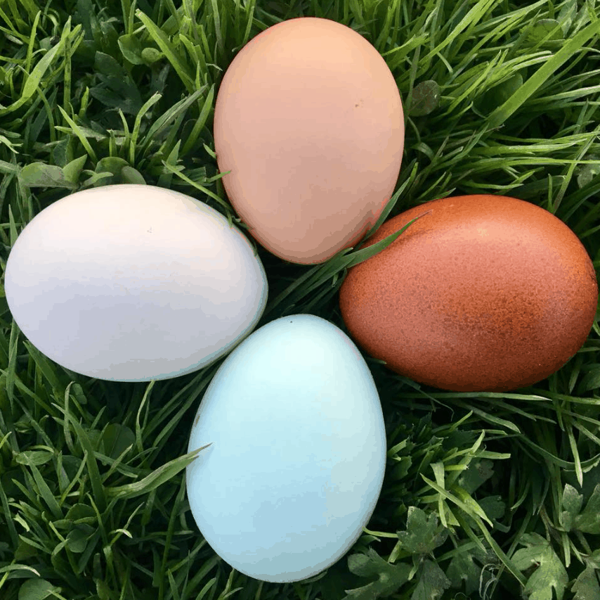 March/April 2020 Countdown to Easter some incredible eggs of the non
